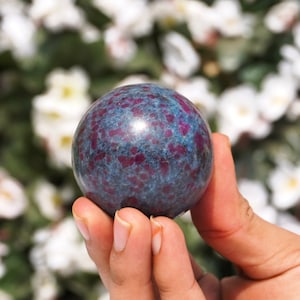 Può includere: Una sfera di rubino blu e rosso, nota anche come rubino in matrice, è tenuta in una mano. La sfera è liscia e lucida, con un aspetto maculato.