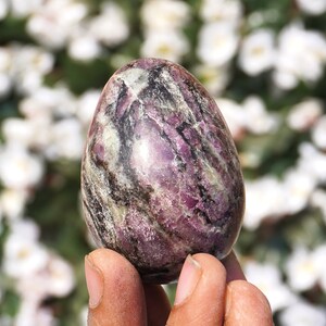 Puede incluir: Una piedra pulida en forma de huevo con una mezcla de colores, incluyendo morado oscuro, negro y blanco. La piedra se sostiene en una mano, con un fondo borroso de flores blancas. La superficie de la piedra tiene una apariencia veteada.