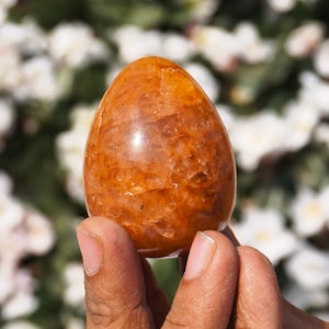 Può includere: Un grande uovo di cristallo arancione con una superficie liscia e lucida. L'uovo è traslucido e ha una tonalità dorata chiara.