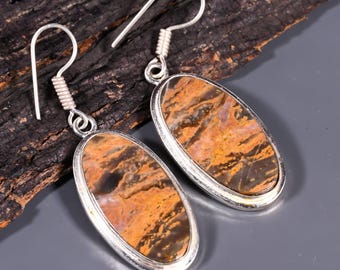 May include: A pair of silver dangle earrings with oval-shaped brown and orange agate stones.