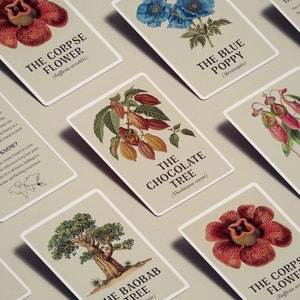 Monde merveilleux des plantes, Flashcards botaniques, Plantes, Cartes Montessori, Faits amusants pour tout-petits, Cartes imprimables, Tout-petits, Enseignement à la maison, Nature