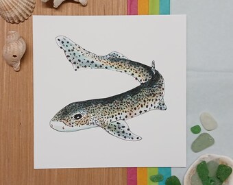 Kathaai, kleine hondshaai, zeedier, gicleekunstdruk
