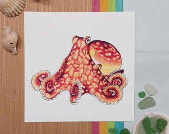 Octopus, gekrulde octopus, zeedier, gicleekunstdruk