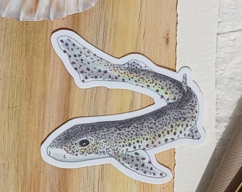 SHARK STICKER/DECAL IN GOLD, SILVER & HOLOGRAM | Philippines