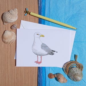 Greetings card, Sea Gull, Birthday, Thank you, Nature Lovers Card