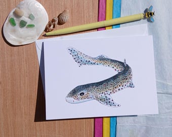 Wenskaart kattenhaai: handgetekende natuurkunst