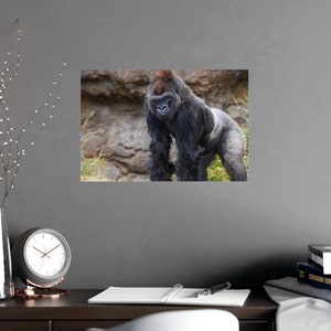 Majestic Gorilla Portrait: Wildlife Wall Art Print image 2