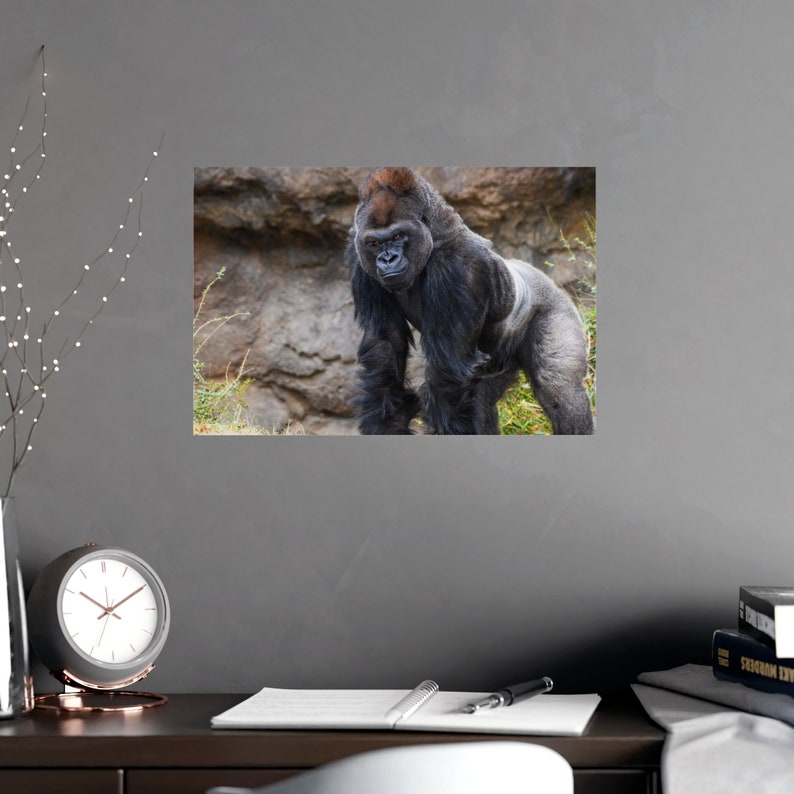 Majestic Gorilla Portrait: Wildlife Wall Art Print image 2