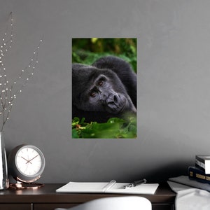 Gorilla Wall Poster, Printable Wall Art, Playroom Wall Decor, Animal Wall Decor, Gorilla Wall Art, Large Wall Art, Gorilla Wall Decor