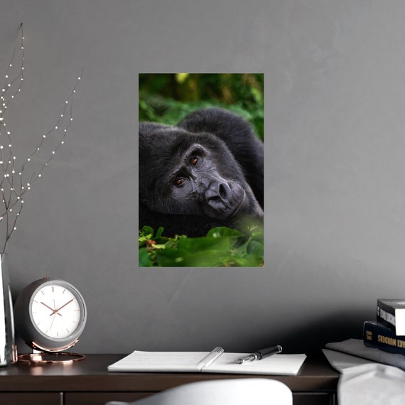 Gorilla Wall Poster, Printable Wall Art, Playroom Wall Decor, Animal Wall Decor, Gorilla Wall Art, Large Wall Art, Gorilla Wall Decor