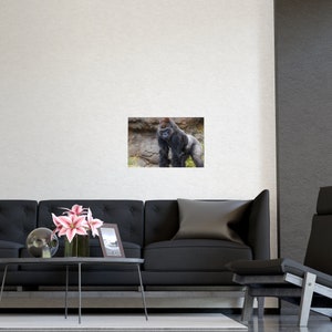 Majestic Gorilla Portrait: Wildlife Wall Art Print image 3