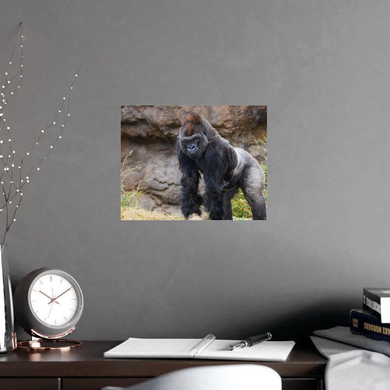 Majestic Gorilla Portrait: Wildlife Wall Art Print image 8