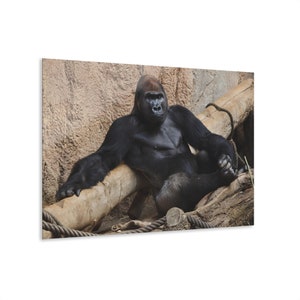 Majestic Gorilla Wall Art, Gorilla Wall Poster, Animal Posters for Living Room, Printable Wall Art, Gorilla Wall Art, Large Wall Art