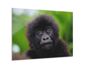 Baby Gorilla Acrylic Wall Art: Kids Room Decor