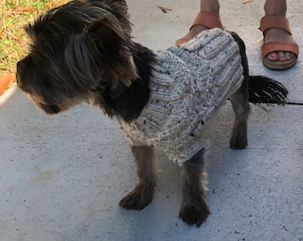 May include: A small dog with dark fur wearing a chunky knit sweater in a light beige color with subtle dark flecks throughout. The sweater features a textured cable knit pattern and covers the torso of the dog, extending from the neck to the tail.