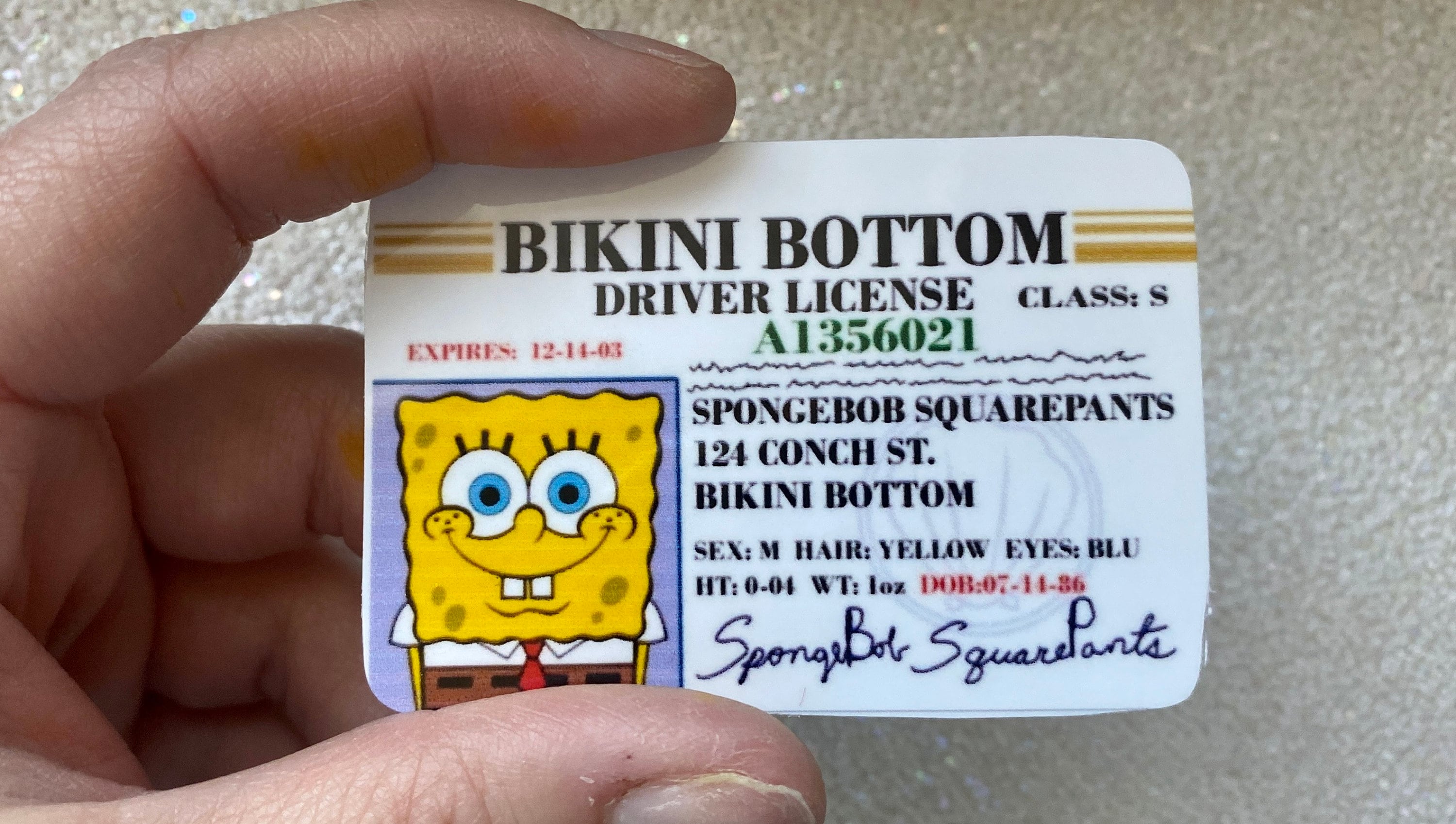 Spongebob Squarepants Drivers License Etsy