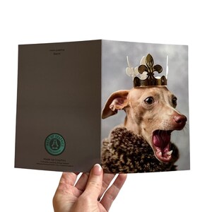 Tarjetas de felicitación para perros Primadonna: tarjeta en blanco con un divertido cachorro de corona, tarjeta de cumpleaños o agradecimiento para perros Diva, arte adorable para amantes de los perros.