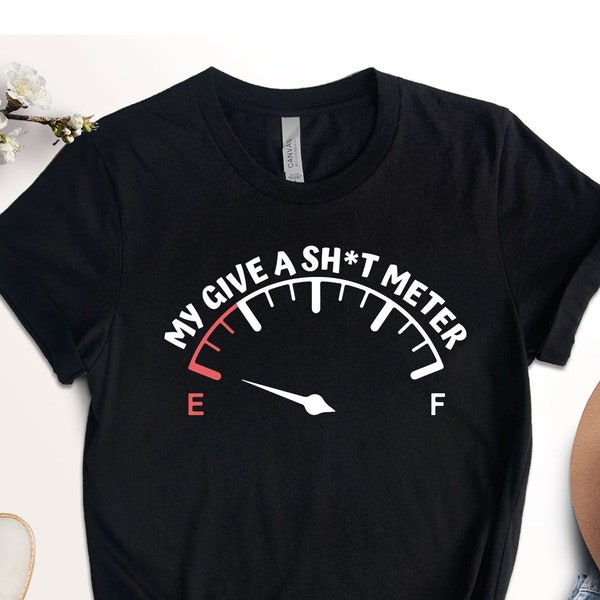 My Give a Sh*t Meter Shirt, Empty Shirt, Offensive Rude Shirt, Gift For Men, Empty Funny Sarcastic Shirt, Sarcastic Saying Tee, Meter Shirt