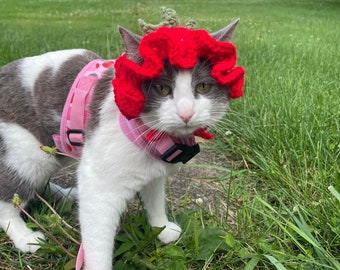 Strawberry Cat Hat