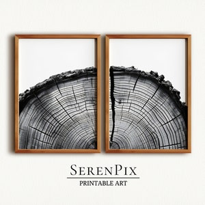Tree Rings Art Print, Set of 2 Wall Art, Tree Rings Wall Art, Wood Slice Printable, Fall Home Decor, Digital Download