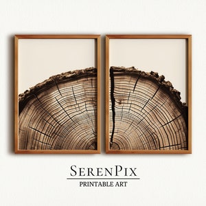 Tree Rings Art Print, Set of 2 Wall Art, Tree Rings Wall Art, Wood Slice Printable, Fall Home Decor, Digital Download