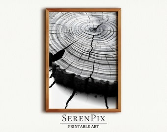 Tree Rings Art Print: Rustic Wood Slice Wall Decor (Digital Download)