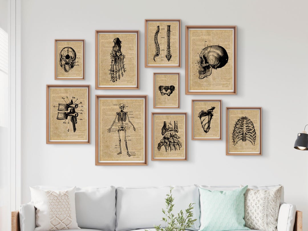 Vintage Anatomy Print Set: Educational Gallery Wall Art (digital ...