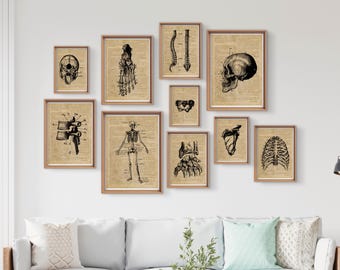 Vintage Anatomy Print Set: Educational Gallery Wall Art (Digital Download)