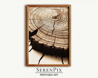 Tree Rings Art Print Set: Rustic Wood Slice Decor (Digital Download)
