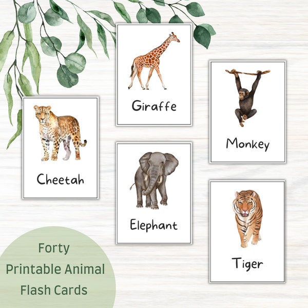 40 Animal Flash Cards, Instant Download, Home Schooling, Vocabulary, Preschool, Toddler, Farm Animals, Arctic Animals, Wild Animals, Birds