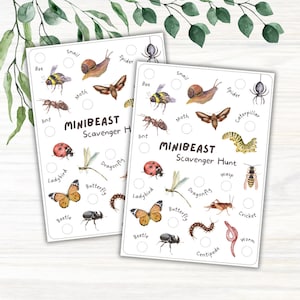 Caccia al tesoro Minibeast stampabile, lista di controllo degli insetti, passeggiata nella natura, scuola nella foresta, risorsa per l'apprendimento all'aperto, attività per i primi anni