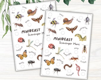 Minibeast Scavenger Hunt Printable, Insect Checklist, Nature Walk, Forest School, Outdoor Learning Resource, Early Years Activity