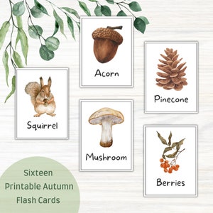 May include: Set of sixteen printable autumn flash cards featuring watercolor illustrations of an acorn, pinecone, squirrel, mushroom, and berries. Each card has the name of the item printed below the image. The cards are displayed on a white background.