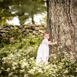 May include: A young child with light brown hair wearing a long white dress with pink ribbon accents. The dress features short puffed sleeves and a full skirt. The child is standing in a field of small white flowers next to a large tree trunk.