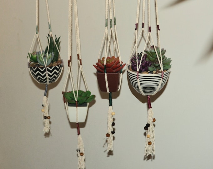 Minimalist Macramé Set of 4 Plant Hangers