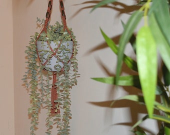 Macrame Plant Hanger Dusty Rose