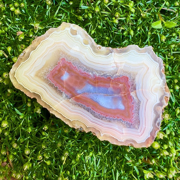 41g/0.09lb Malawi Agate gemstone raw on one side and mirror polished on the other, specimen collectible agate, DIY jewelry, chakra talisman