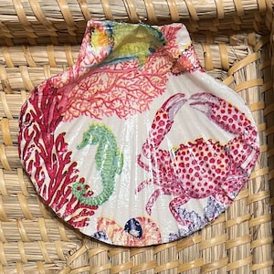Coastal Under the sea Crab Shell