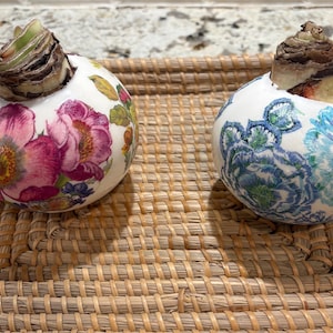 Peut inclure: Deux cache-pots décoratifs en céramique avec des motifs floraux, l'un avec des fleurs roses et l'autre avec des fleurs bleues, sont posés dans un plateau tressé. Les bulbes sont visibles en haut de chaque pot, prêts à germer.