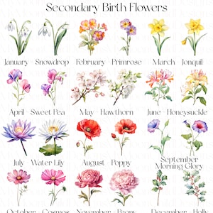 Birth Month Flower SVG Watercolor Birth Month Flower Clipart Birth Month Flower PNG Birth Flower SVG Bundle Birth Month Flowers Clipart png

This Digital Product includes 48 Birth Month Flower SVG & Watercolor Birth Month Flower Clipart designs.