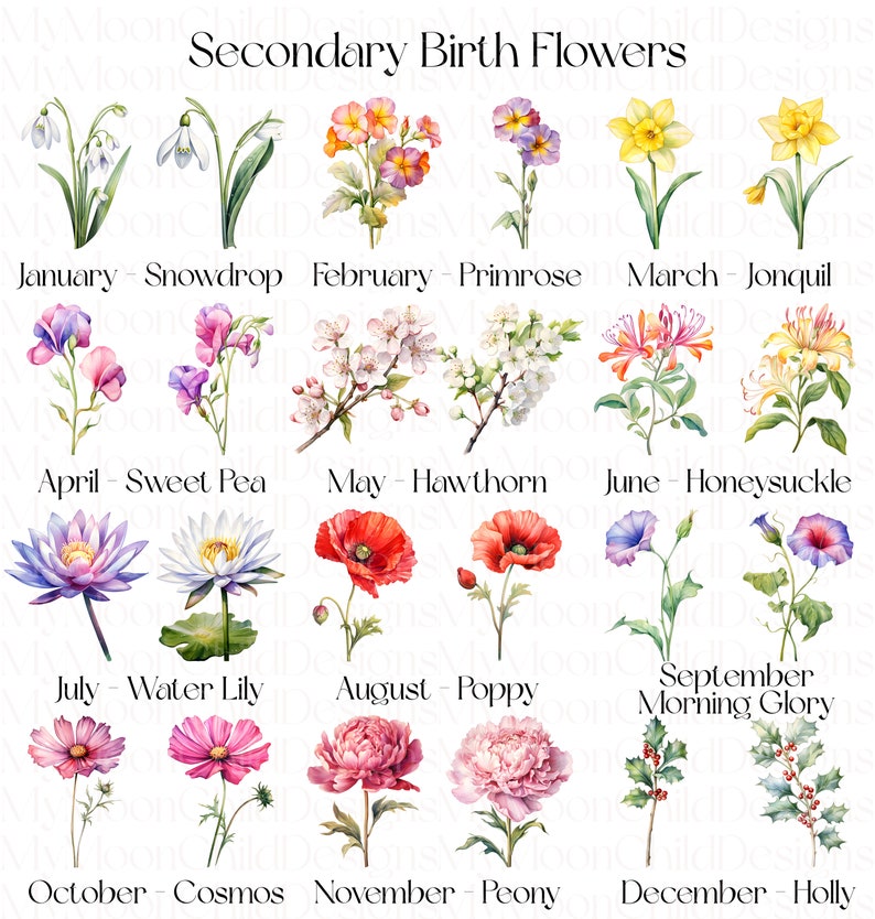 Birth Month Flower SVG Watercolor Birth Month Flower Clipart Birth Month Flower PNG Birth Flower SVG Bundle Birth Month Flowers Clipart png

This Digital Product includes 48 Birth Month Flower SVG & Watercolor Birth Month Flower Clipart designs.