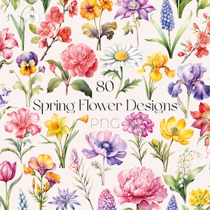 Clipart de flores de primavera en acuarela, flores silvestres de primavera PNG, clipart de ramo de flores en acuarela, clipart de flores de primavera PNG, clipart de flores en acuarela