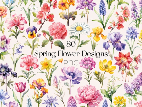 Watercolor Spring Flower Clipart Wildflower Spring Flowers PNG Watercolor Flower Bouquet Clipart Floral Spring PNG Watercolor Flower Clipart