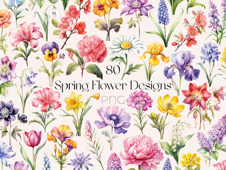 Watercolor Spring Flower Clipart Wildflower Spring Flowers PNG Watercolor Flower Bouquet Clipart Floral Spring PNG Watercolor Flower Clipart

This is a Digital Product that includes a bundle of Watercolor Spring Flower & Wildflower Clipart designs.