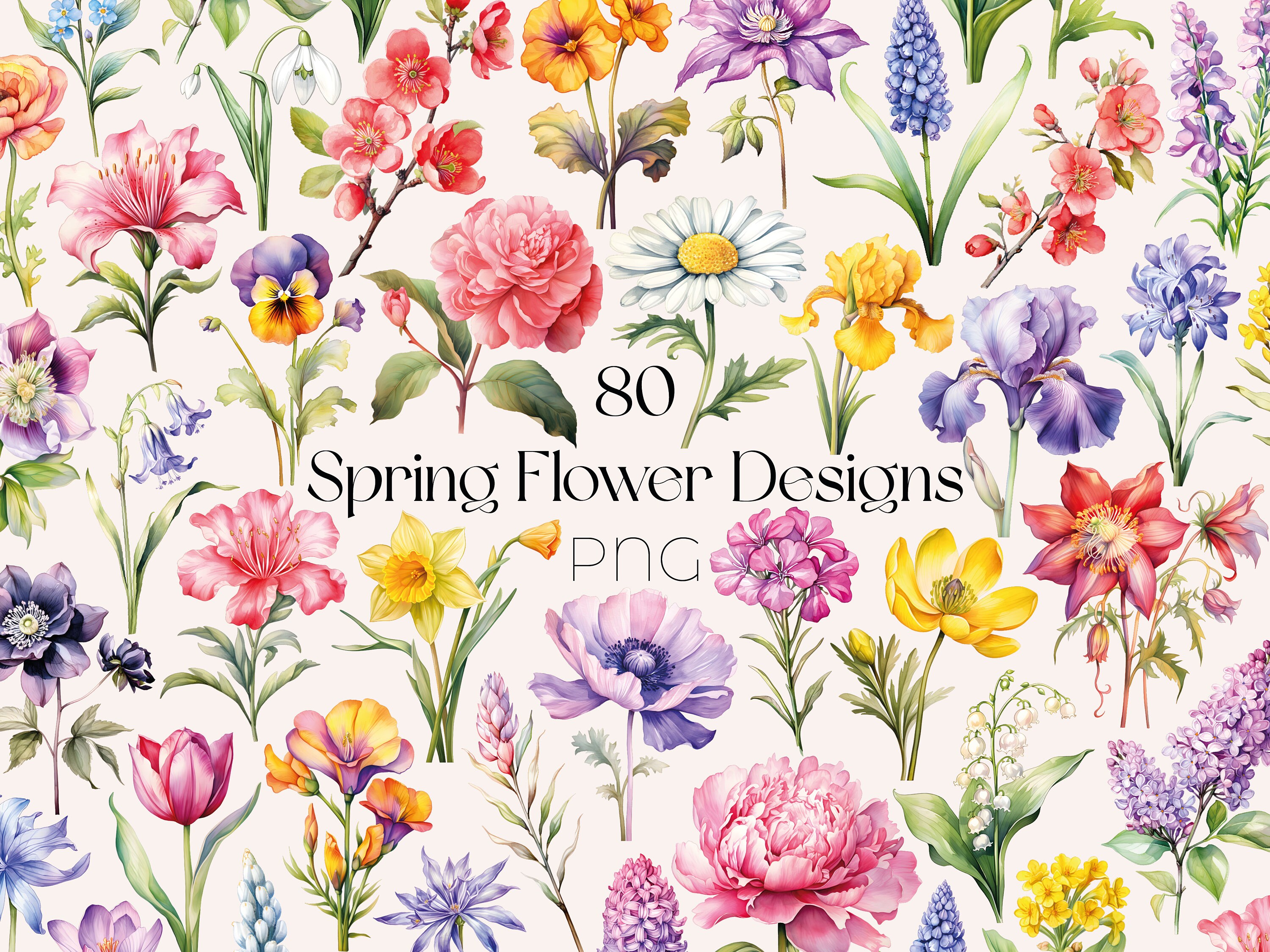 Watercolor Spring Flower Clipart Wildflower Spring Flowers PNG Watercolor Flower Bouquet Clipart Floral Spring PNG Watercolor Flower Clipart