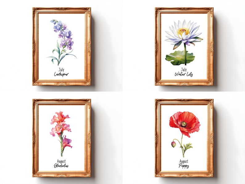Birth Month Flower Print Watercolor Birth Flower Poster Birth Month Flower Wall Art Birth Flower Bouquet Print Birth Month Flower SVG Flower

This Digital Product includes a bundle of 24 Watercolor Birth Month Flower Print wall art printable designs.