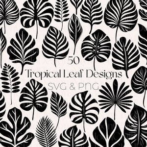 Pacchetto SVG Foglie Tropicali Foglie della Giungla SVG Foglie Tropicali PNG Monstera svg Foglie Tropicali Clipart Botanico svg Giungla svg Foglia Tropicale