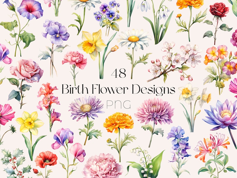Birth Month Flower SVG Watercolor Birth Month Flower Clipart Birth Month Flower PNG Birth Flower SVG Bundle Birth Month Flowers Clipart png

This Digital Product includes 48 Birth Month Flower SVG & Watercolor Birth Month Flower Clipart designs.