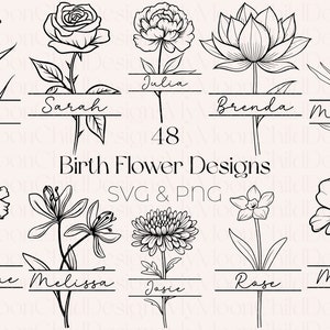 Pacote SVG de flores do mês de nascimento Pacote SVG de flores do mês de nascimento Modelos de texto de flores do mês de nascimento Clipart de flores do mês de nascimento PNG de flores do mês de nascimento Margarida svg
