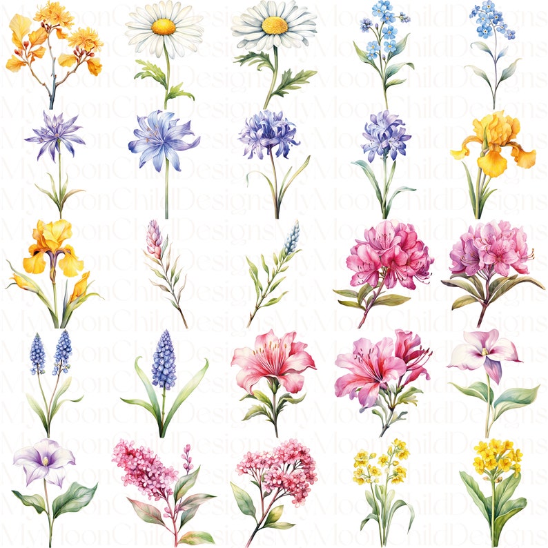 Watercolor Spring Flower Clipart Wildflower Spring Flowers PNG Watercolor Flower Bouquet Clipart Floral Spring PNG Watercolor Flower Clipart

This is a Digital Product that includes a bundle of Watercolor Spring Flower & Wildflower Clipart designs.
